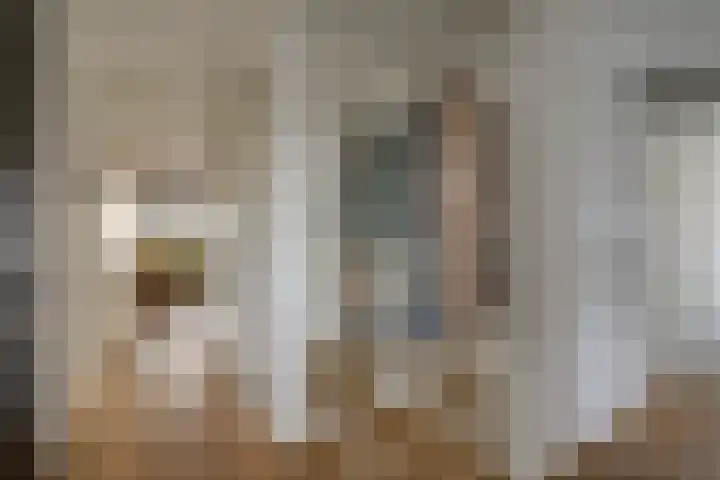 Visschersplein 50 Utrecht thumbnail 5