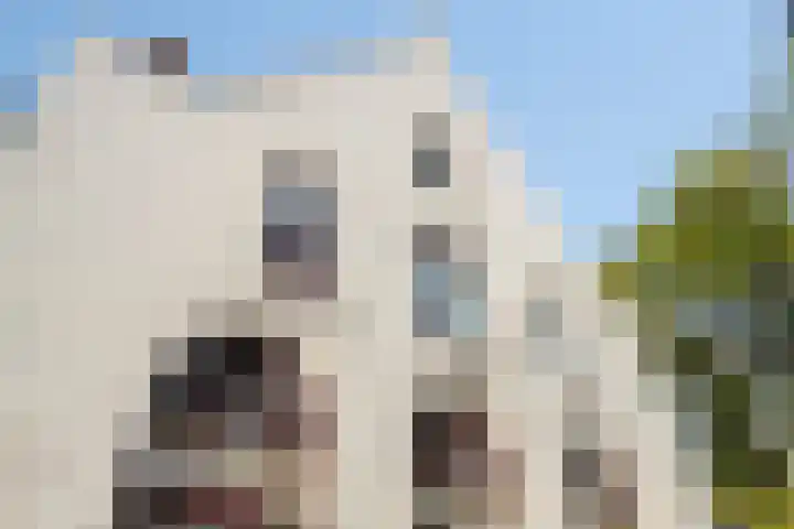 Visschersplein 7 Utrecht thumbnail 17
