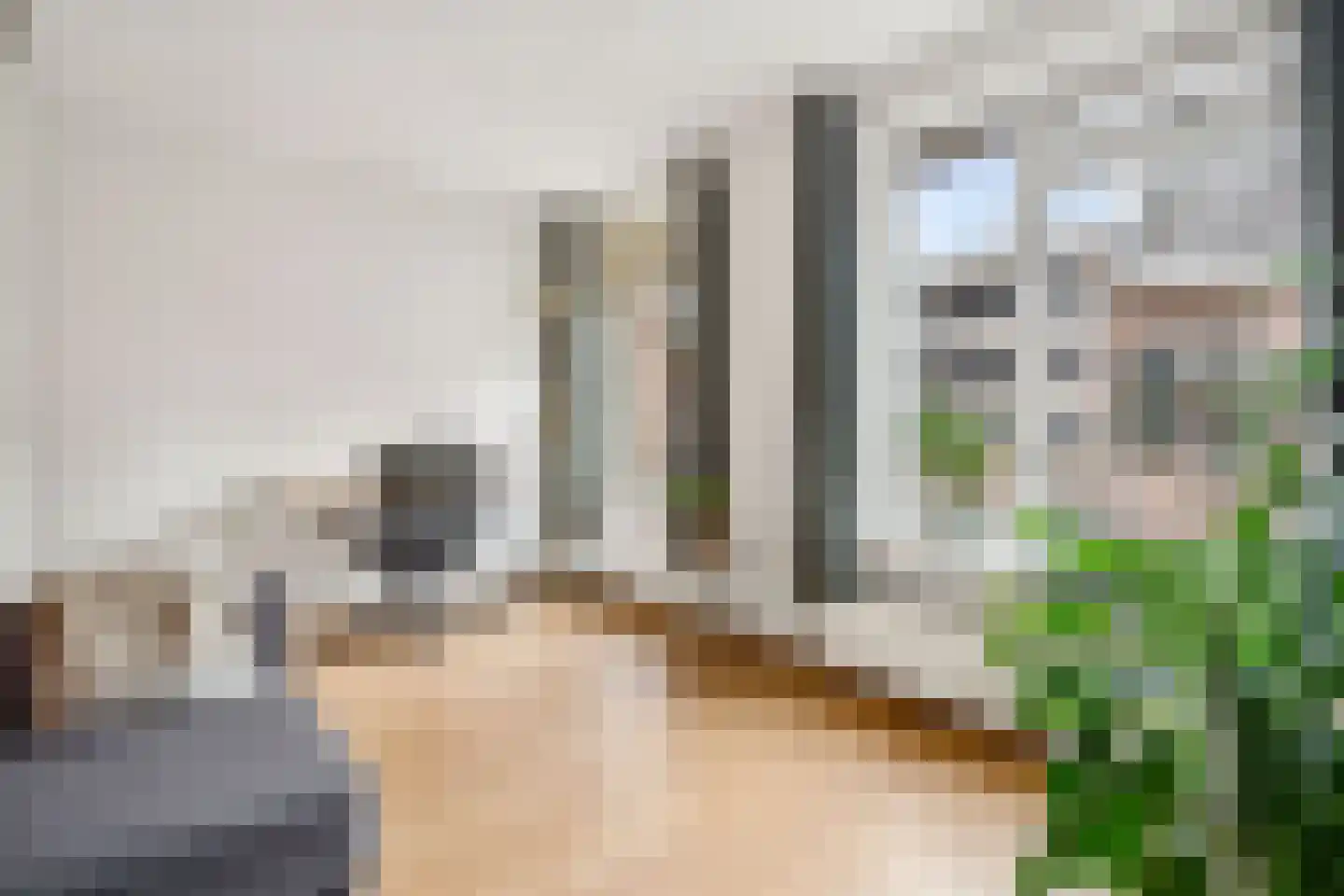 Visscherssteeg 21 Utrecht thumbnail 24
