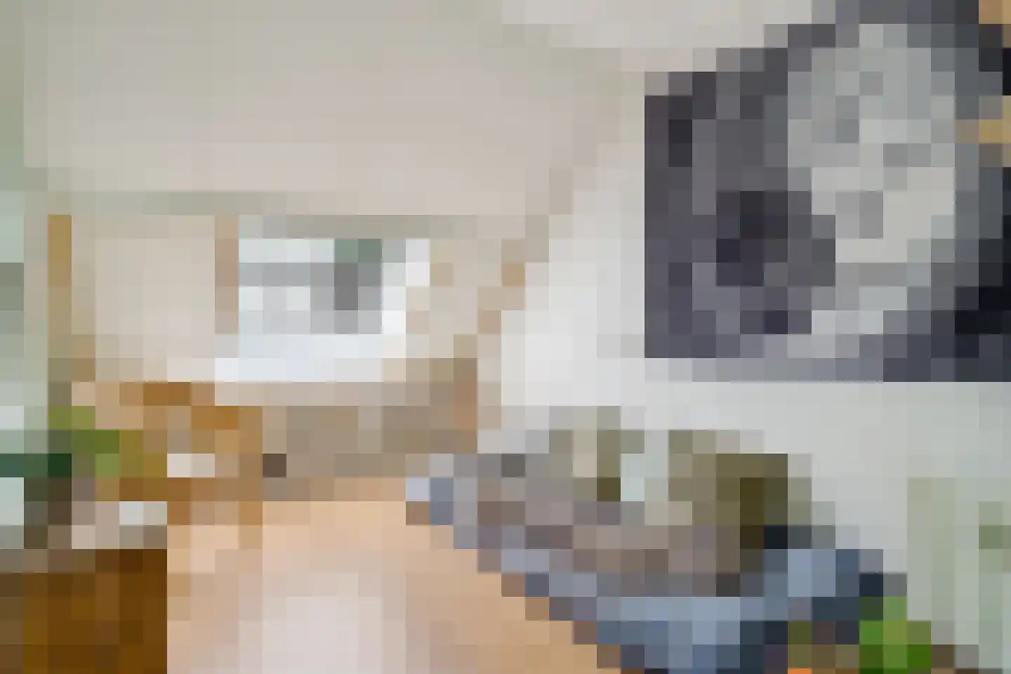 Visscherssteeg 21 Utrecht thumbnail 33