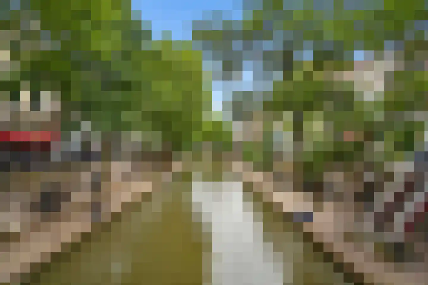 Visscherssteeg 21 Utrecht thumbnail 43