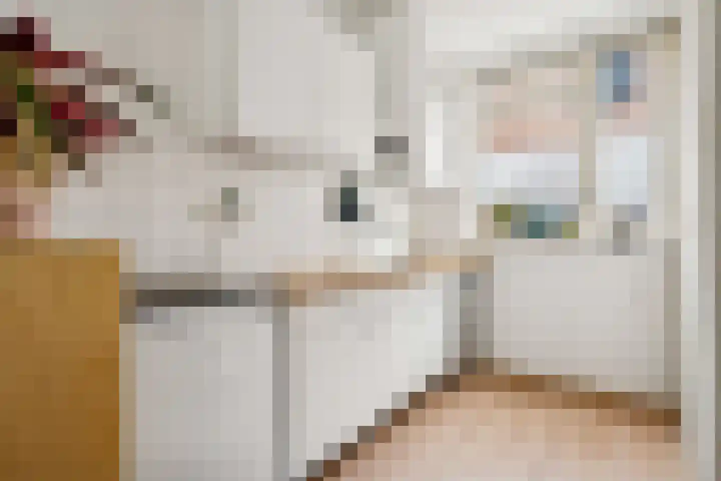 Visscherssteeg 21 Utrecht thumbnail 6