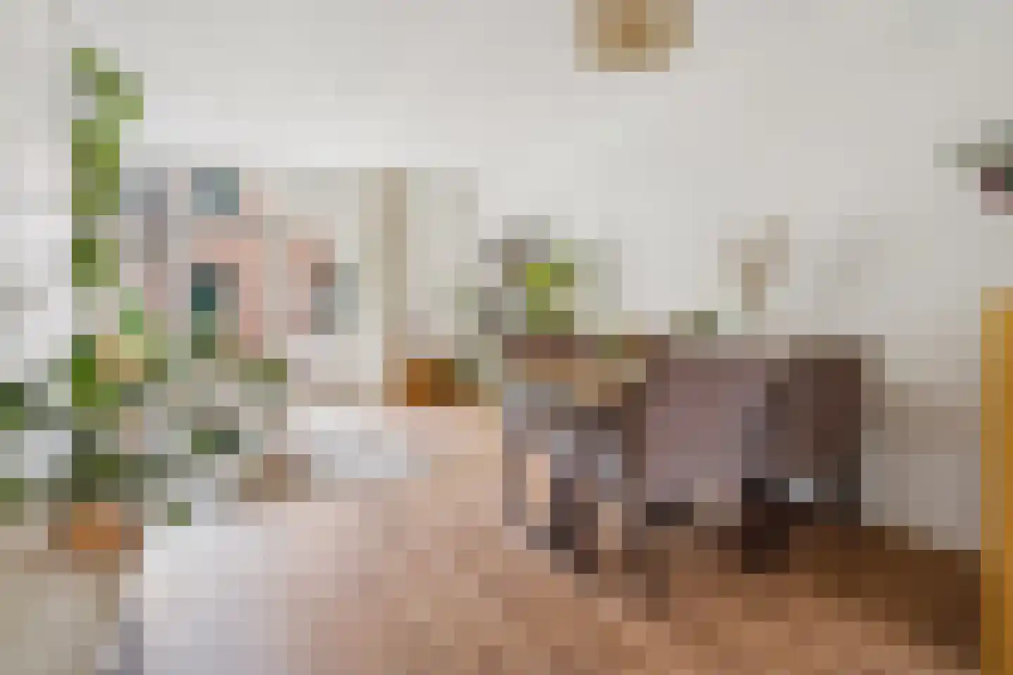 Visscherssteeg 21 Utrecht thumbnail 8