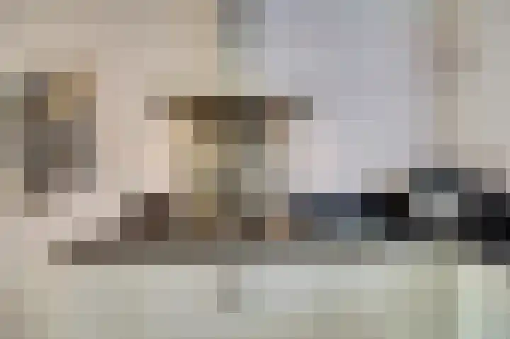 Visschersstraat 2 Vollenhove thumbnail 12