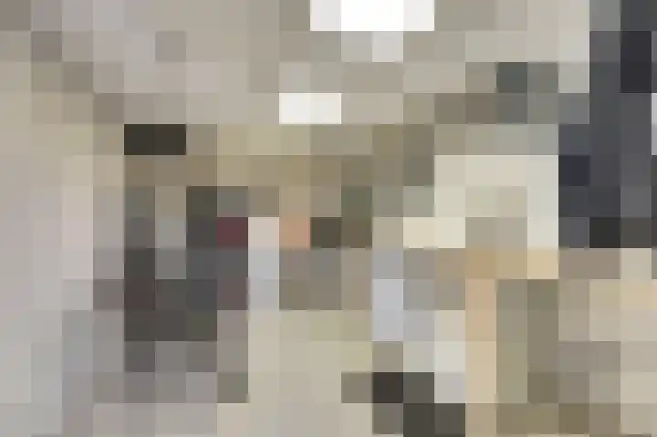 Visschersstraat 2 Vollenhove thumbnail 13