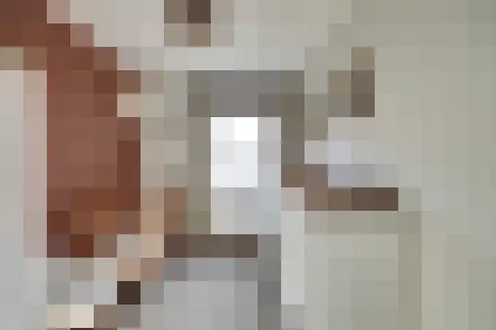 Visschersstraat 2 Vollenhove thumbnail 19