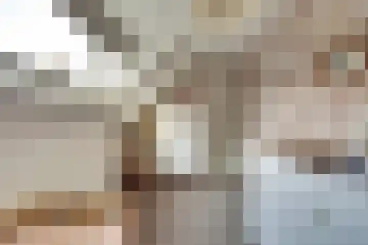 Visschersstraat 2 Vollenhove thumbnail 22