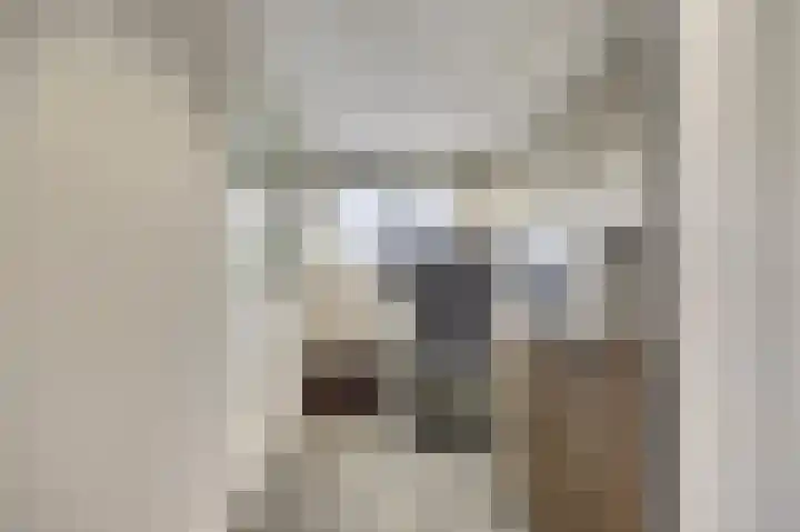 Visschersstraat 2 Vollenhove thumbnail 23