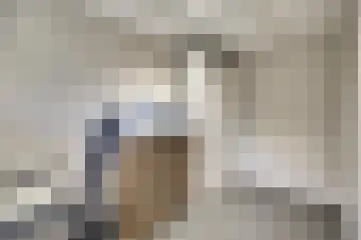 Visschersstraat 2 Vollenhove thumbnail 24