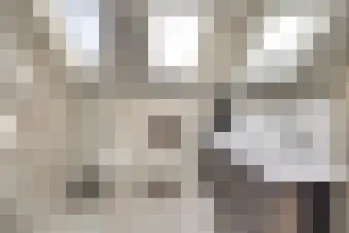 Visschersstraat 2 Vollenhove thumbnail 25