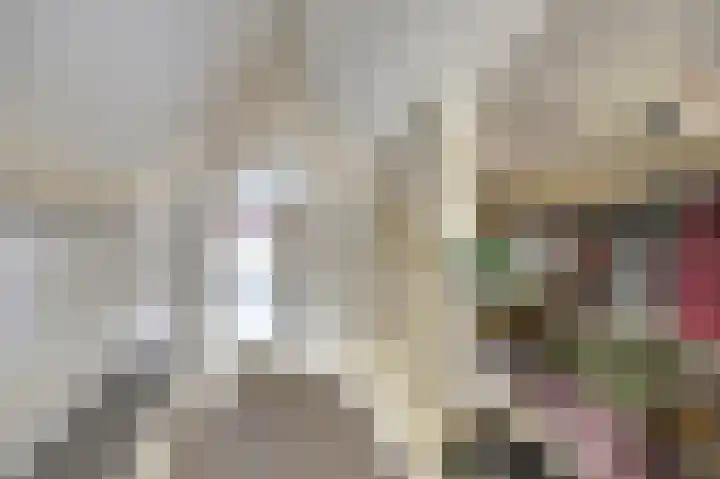 Visschersstraat 2 Vollenhove thumbnail 27