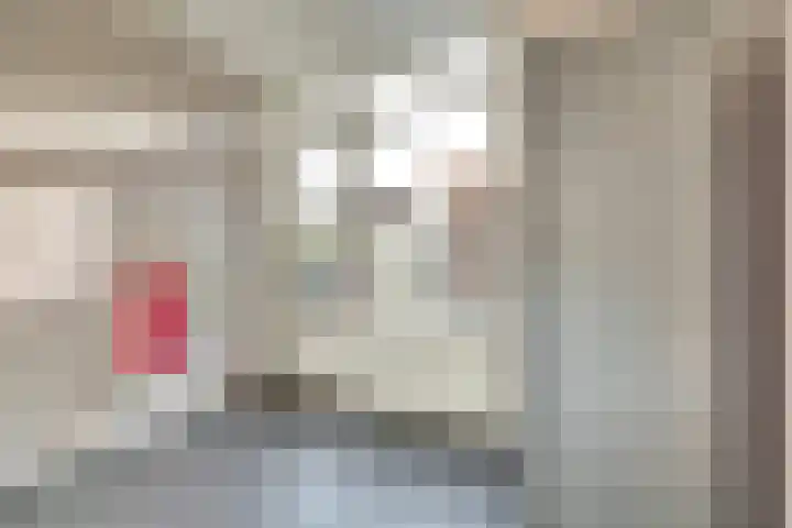 Visschersstraat 2 Vollenhove thumbnail 30
