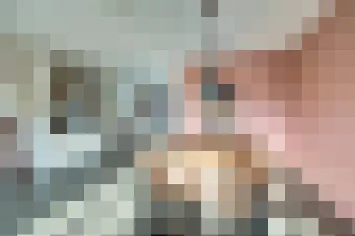 Visschersstraat 2 Vollenhove thumbnail 9