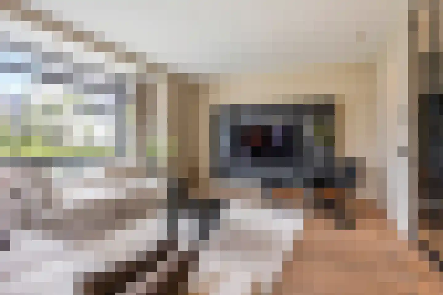 Visschouw 19 Reeuwijk thumbnail 12