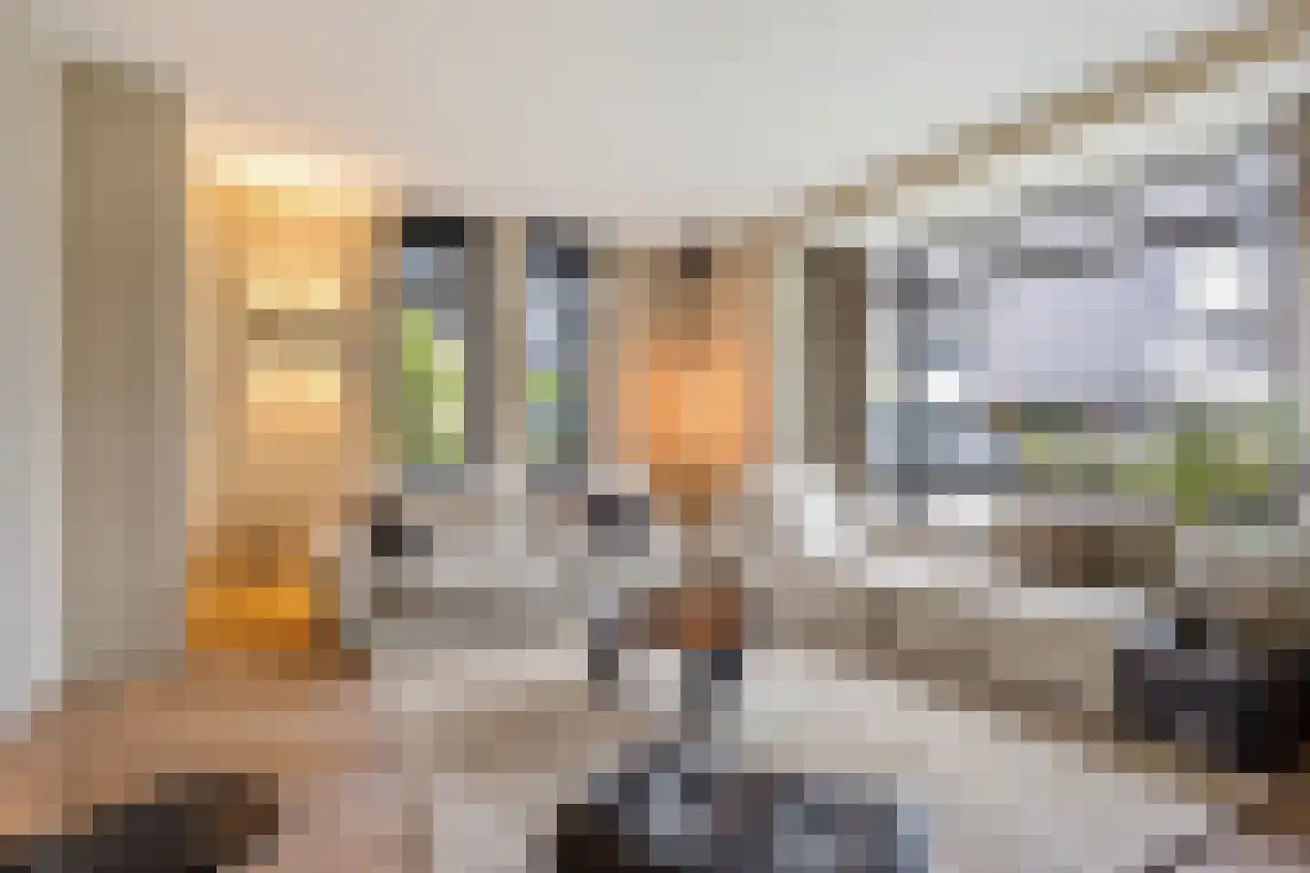 Visschouw 19 Reeuwijk thumbnail 13