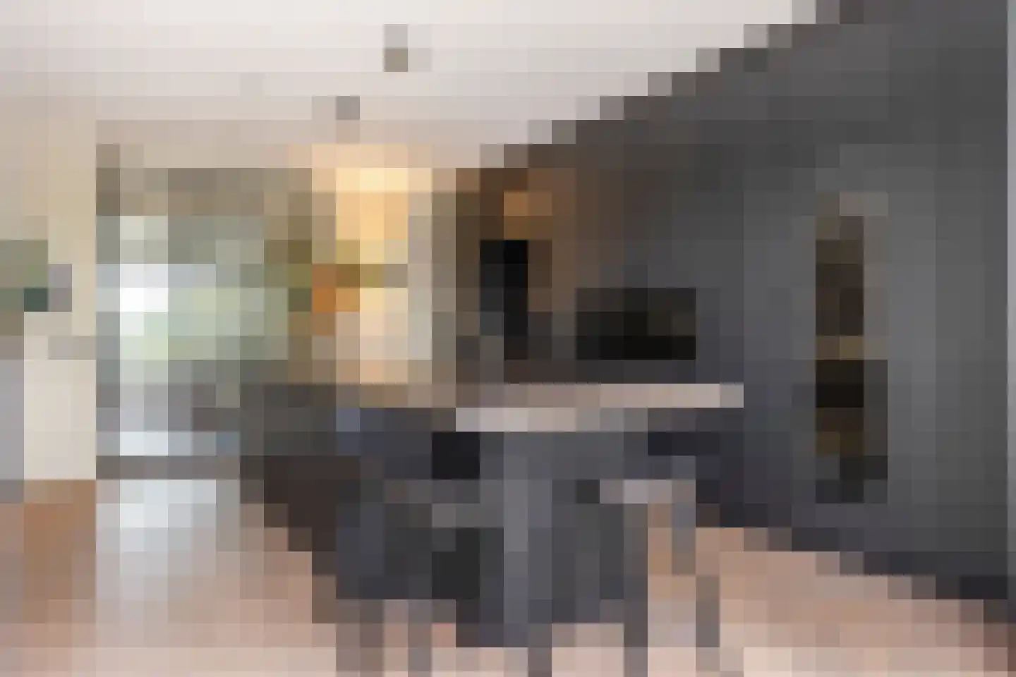 Visschouw 19 Reeuwijk thumbnail 21