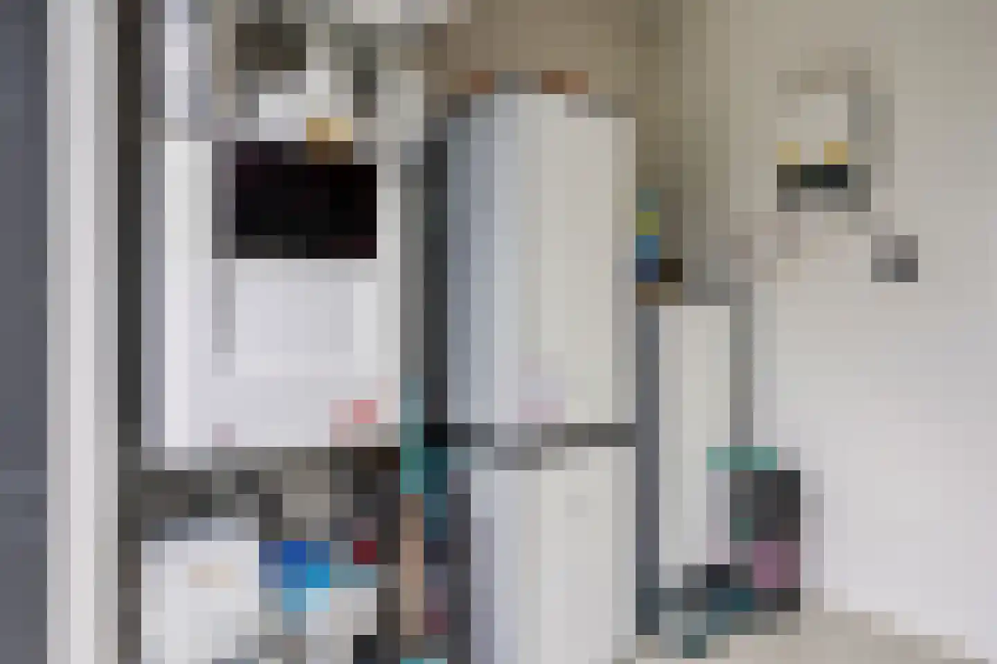 Visschouw 19 Reeuwijk thumbnail 25