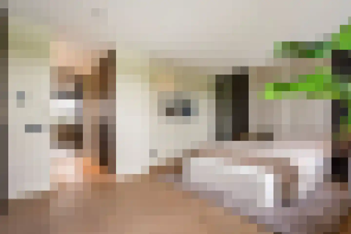 Visschouw 19 Reeuwijk thumbnail 34
