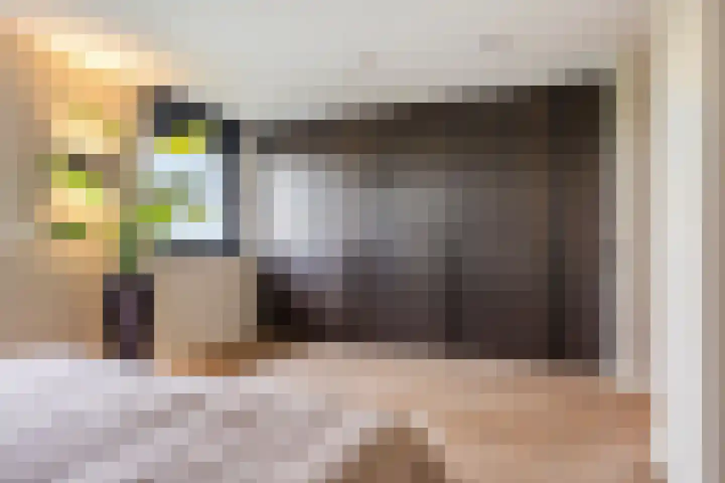 Visschouw 19 Reeuwijk thumbnail 36