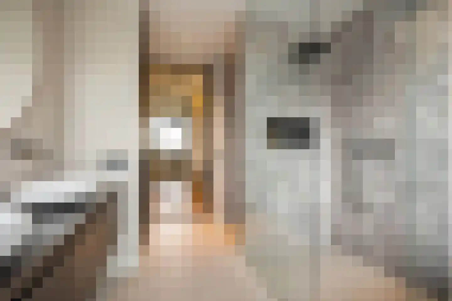 Visschouw 19 Reeuwijk thumbnail 41