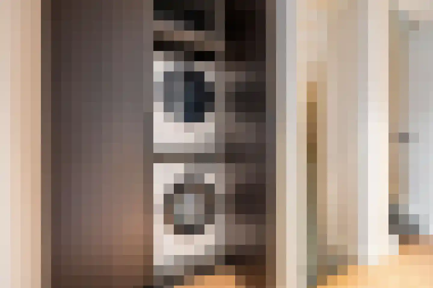 Visschouw 19 Reeuwijk thumbnail 45