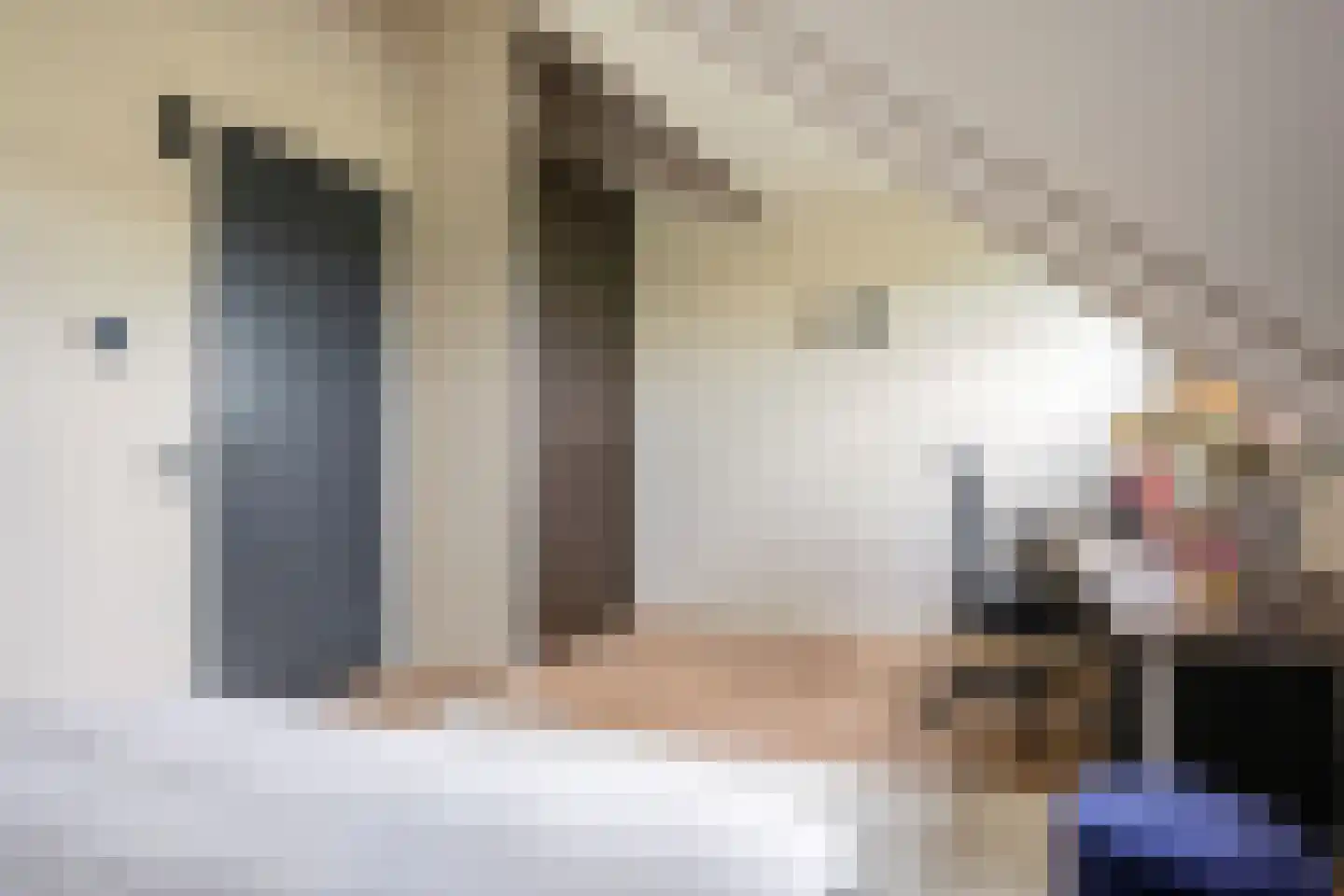 Visschouw 19 Reeuwijk thumbnail 52