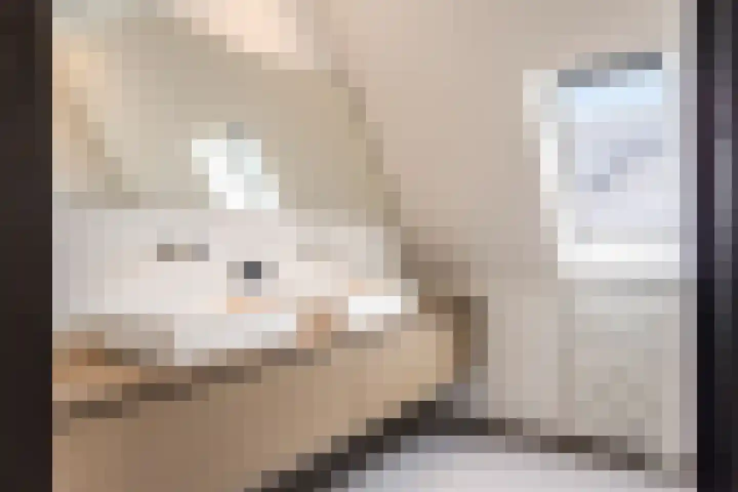 Visschouw 19 Reeuwijk thumbnail 55