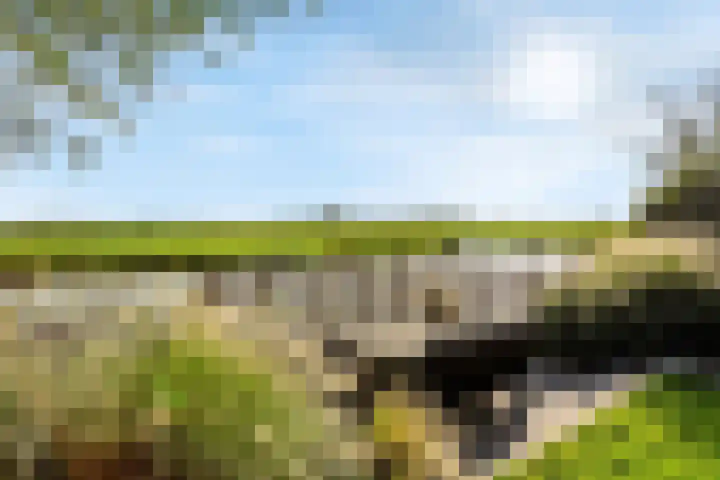 Visschouw 19 Reeuwijk thumbnail 59