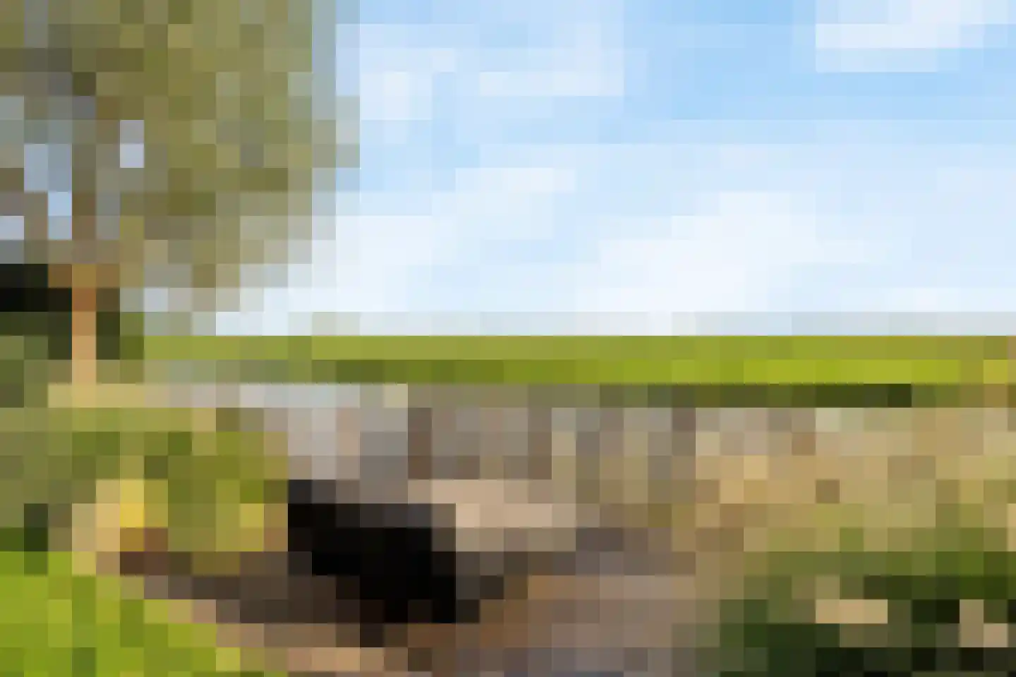 Visschouw 19 Reeuwijk thumbnail 60