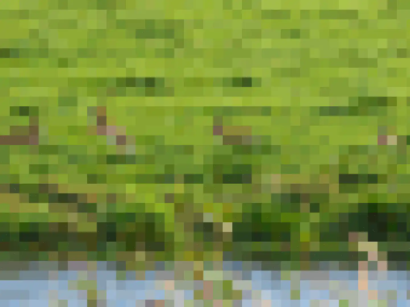 Visschouw 19 Reeuwijk thumbnail 62