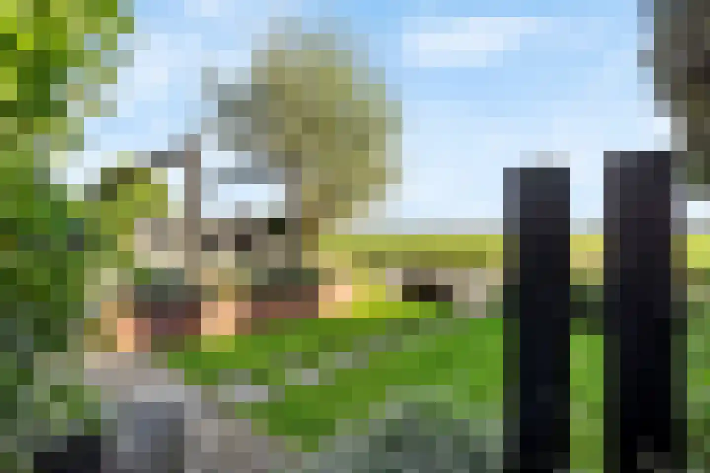 Visschouw 19 Reeuwijk thumbnail 65