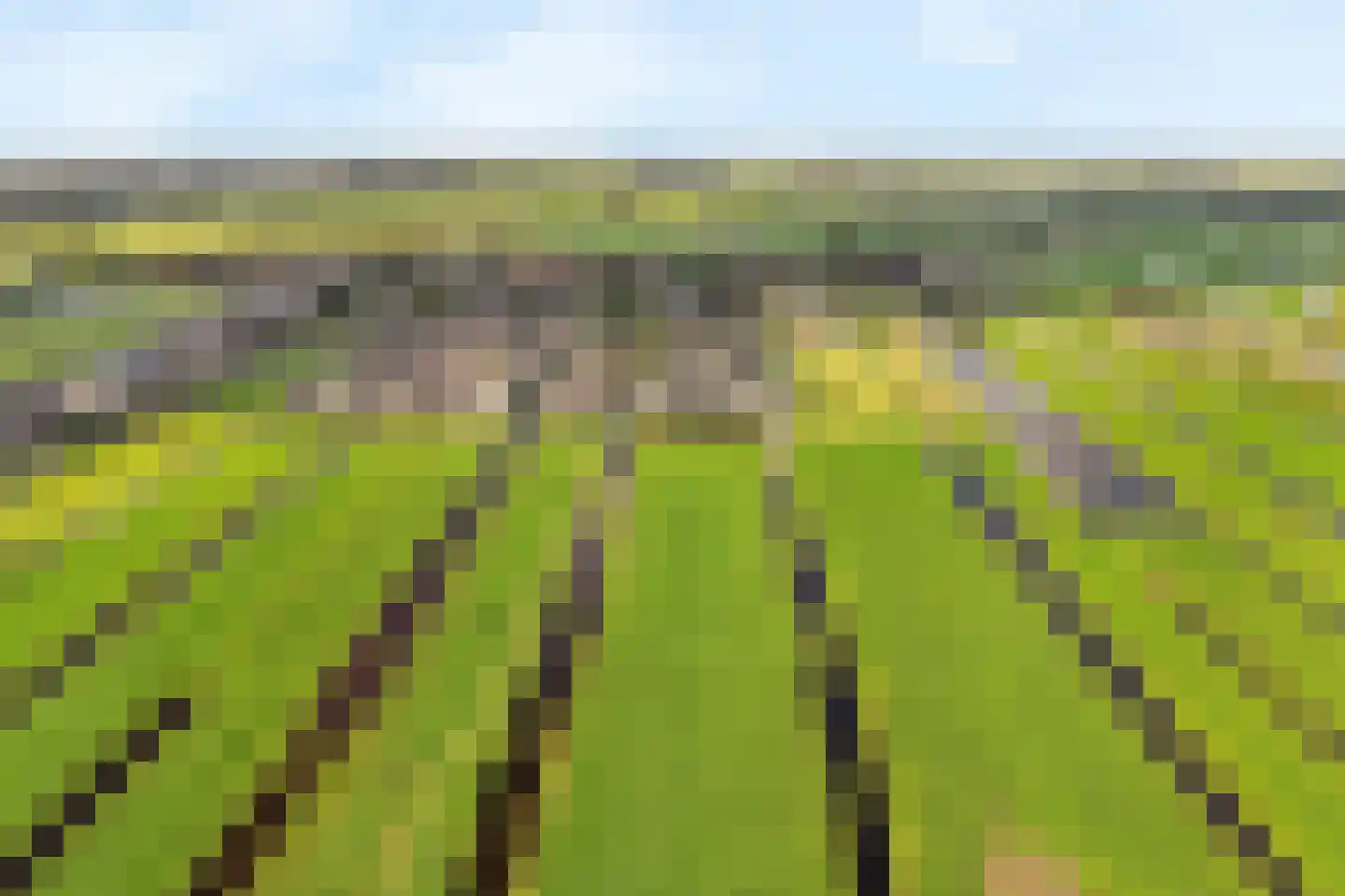 Visschouw 19 Reeuwijk thumbnail 70