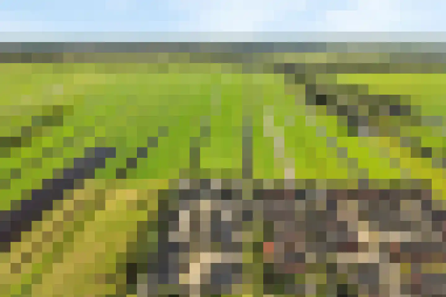 Visschouw 19 Reeuwijk thumbnail 71
