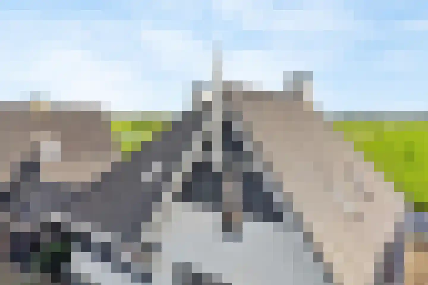 Visschouw 19 Reeuwijk thumbnail 74