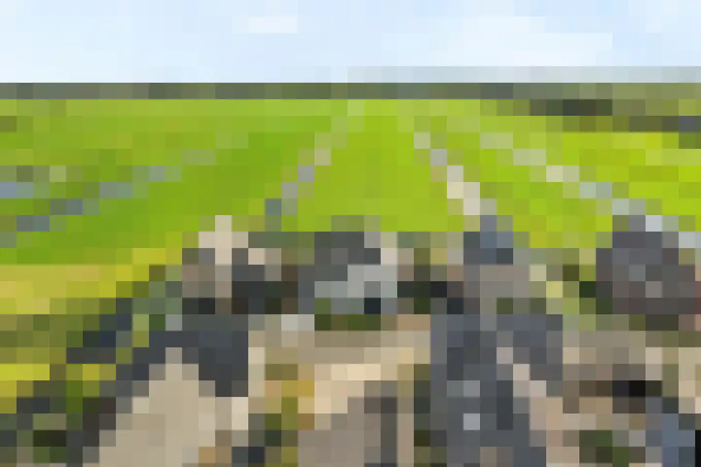 Visschouw 19 Reeuwijk thumbnail 76