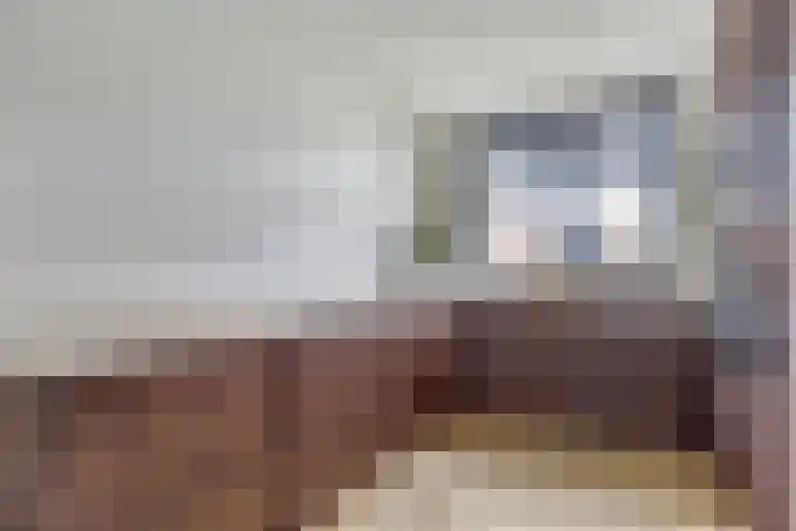 Visschouw 49 Reeuwijk thumbnail 11