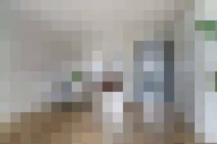 Visschouw 49 Reeuwijk thumbnail 13