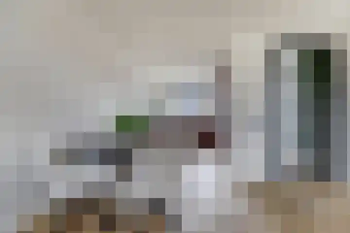 Visschouw 49 Reeuwijk thumbnail 14