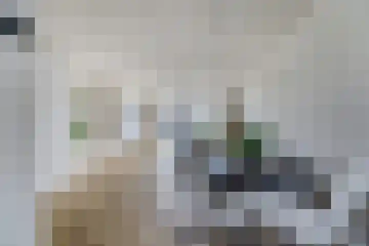 Visschouw 49 Reeuwijk thumbnail 15