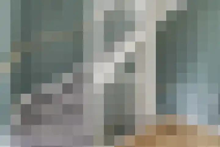 Visschouw 49 Reeuwijk thumbnail 17
