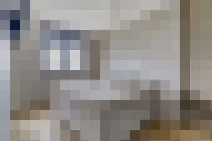 Visschouw 49 Reeuwijk thumbnail 18