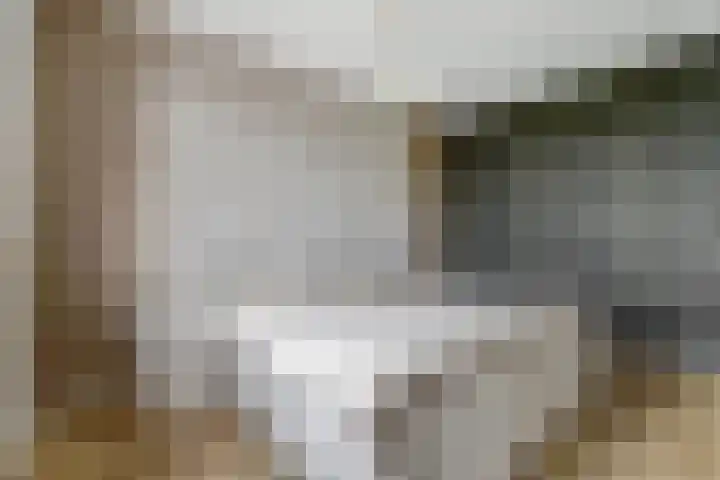 Visschouw 49 Reeuwijk thumbnail 19