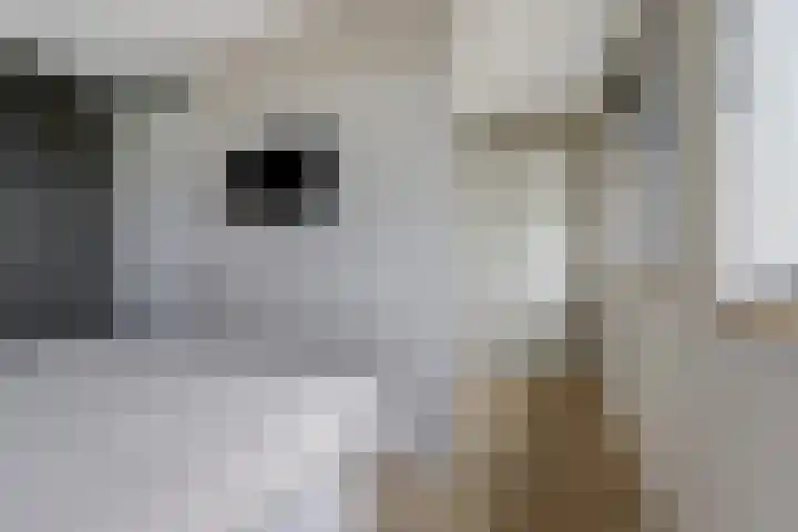 Visschouw 49 Reeuwijk thumbnail 20