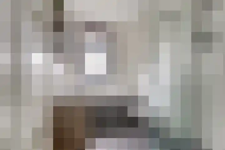 Visschouw 49 Reeuwijk thumbnail 23