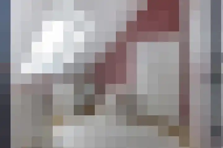 Visschouw 49 Reeuwijk thumbnail 27