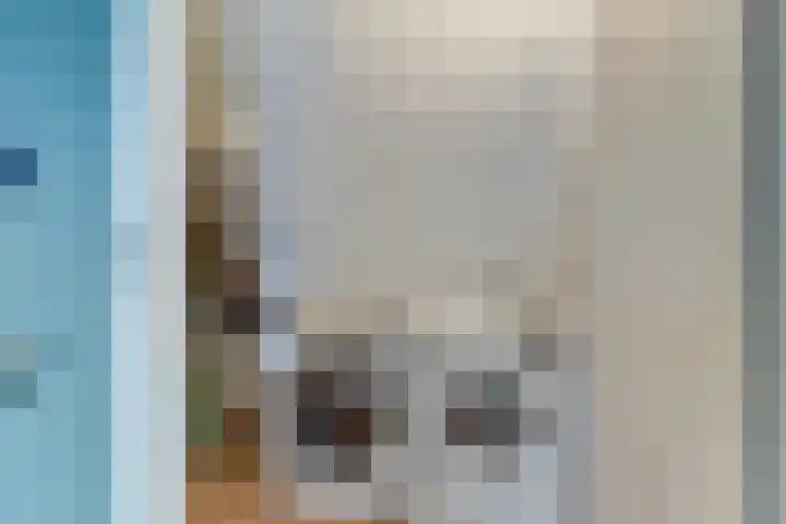 Visschouw 49 Reeuwijk thumbnail 30