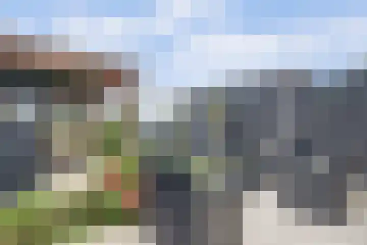 Visschouw 49 Reeuwijk thumbnail 31