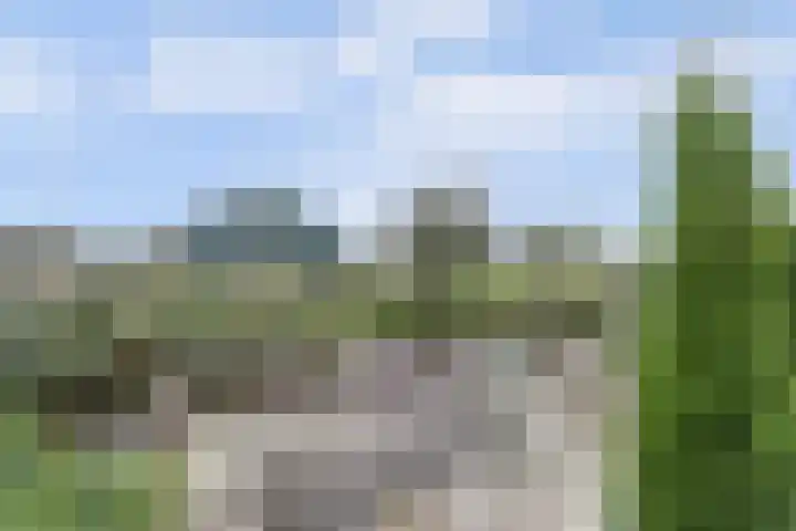 Visschouw 49 Reeuwijk thumbnail 34