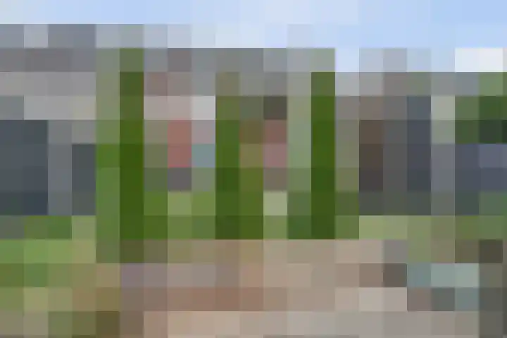 Visschouw 49 Reeuwijk thumbnail 35