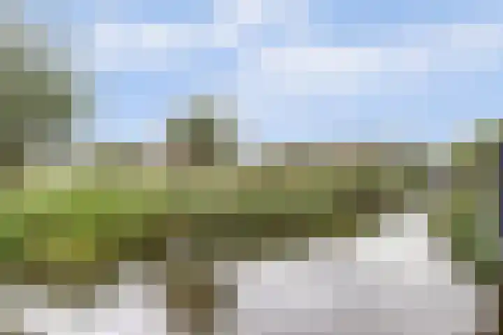 Visschouw 49 Reeuwijk thumbnail 36